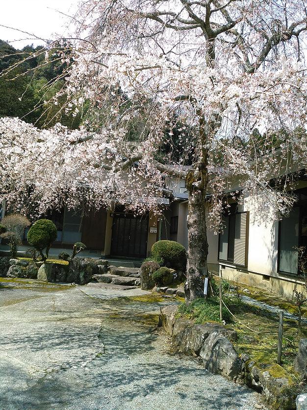 マタニティーピクニックに行ってきました！