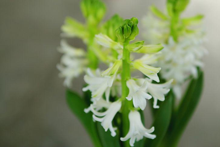 産後ケア入院・感想文・Sさん