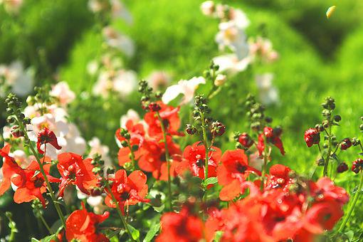 バースあおばと実習生