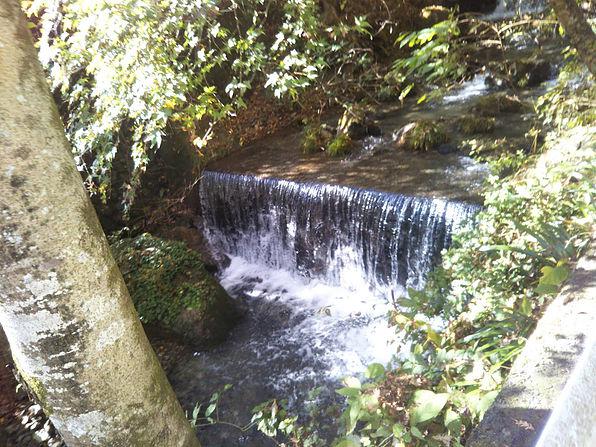 御岳山ハイキング