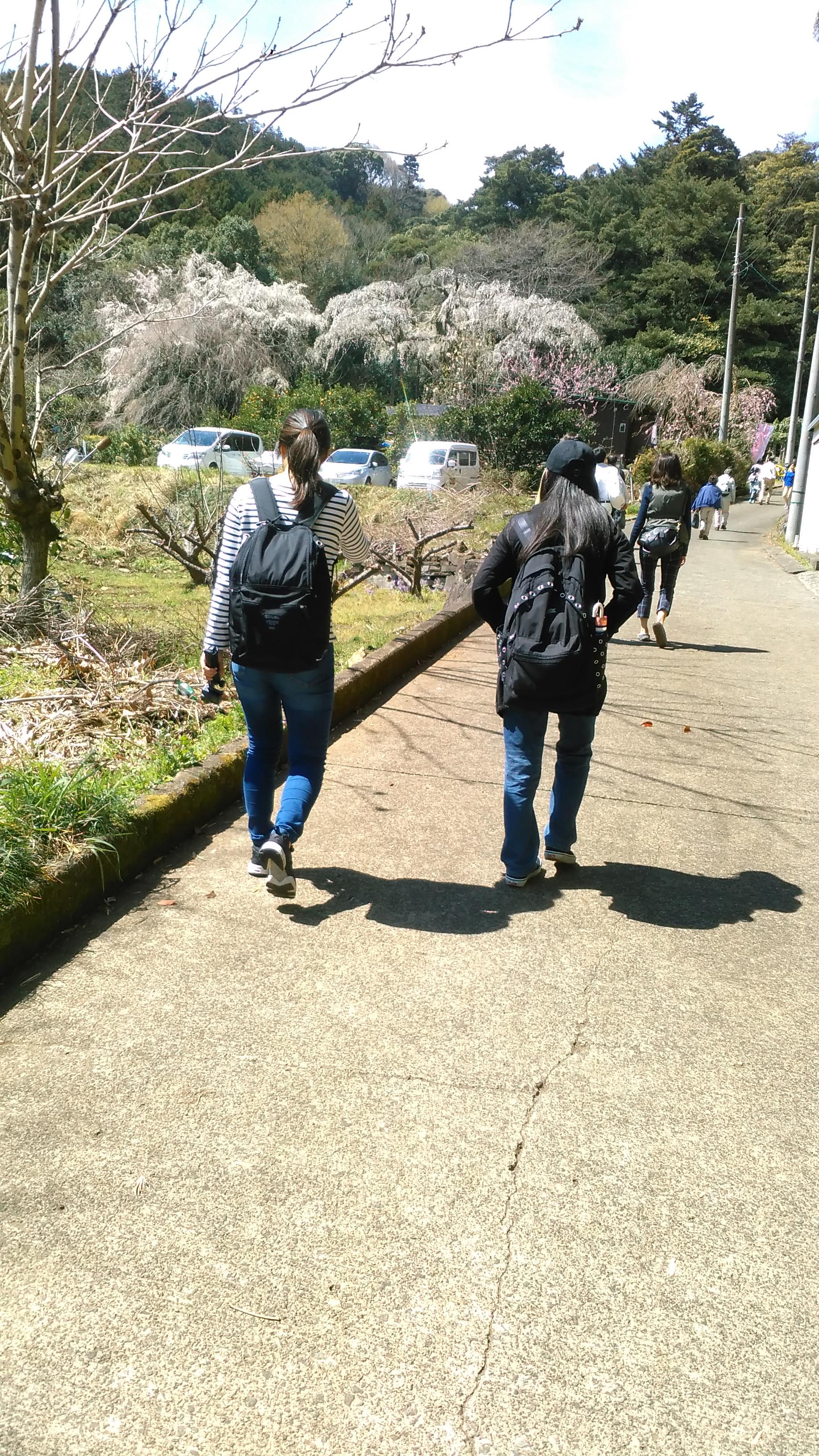 春のマタニティピクニックに行って来ました！