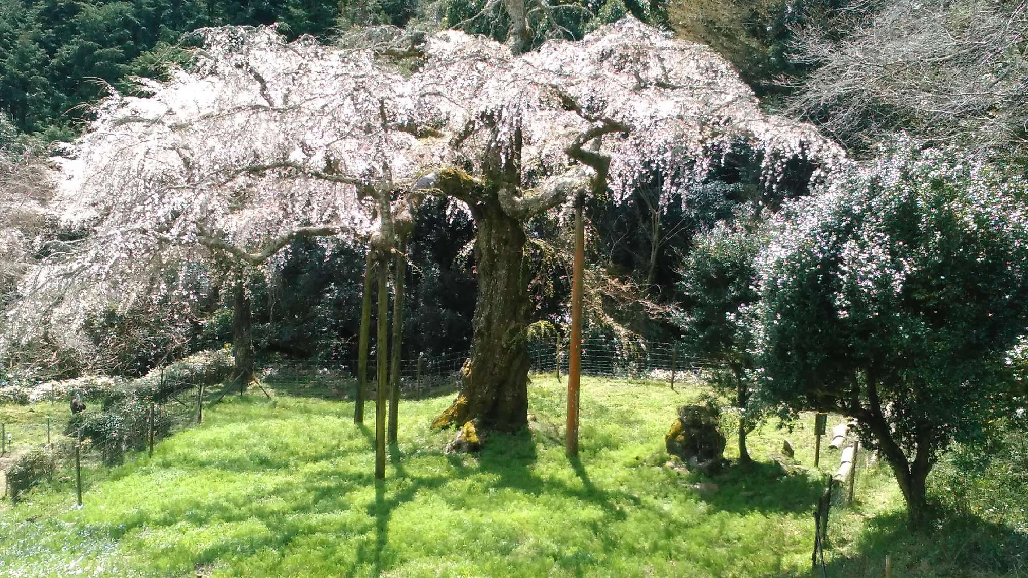 陥没乳頭だって、短い乳頭だって母乳育児を諦めない！