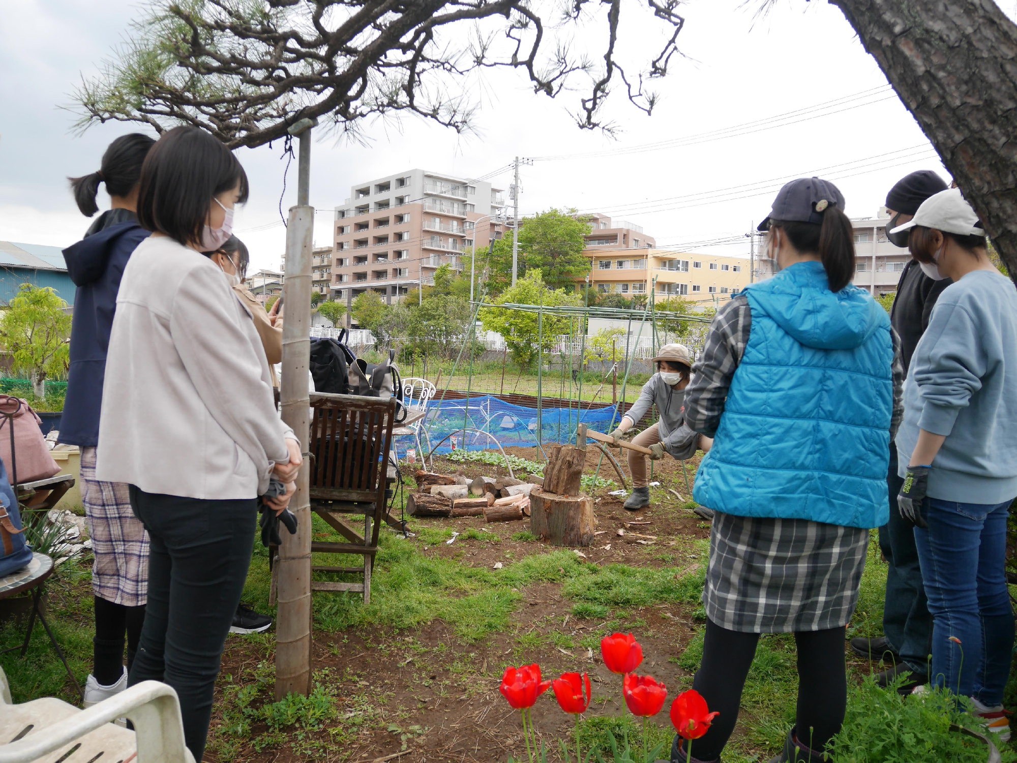 妊婦さんたちで薪割りへ！